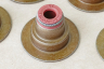 SHU-010-3-1 Колпачки маслосъёмные Chevrolet Opel 1.4-1.6-1.8