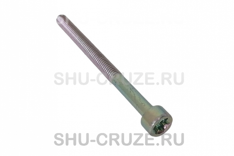 SHU-018-56 Винт крепления модуля зажигания Chevrolet Opel
